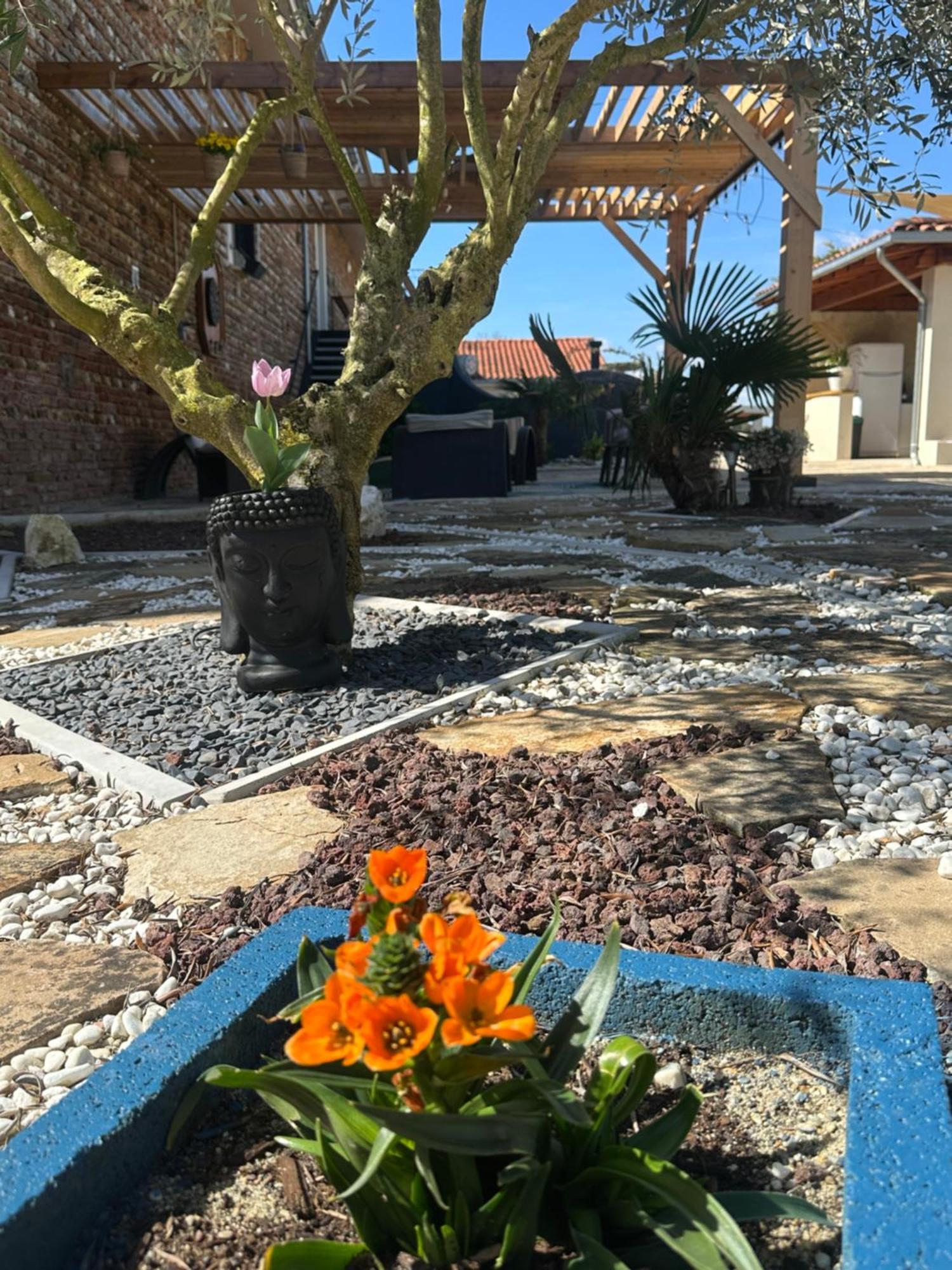 Chambres D'Hotes Doux Brazil Lisle-sur-Tarn Dış mekan fotoğraf